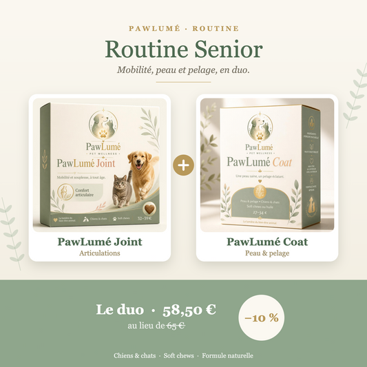 Abonnement Routine Senior PawLumé : Joint + Coat